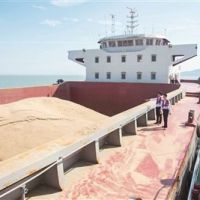 遼寧海事局：近期碎石緩征港口建設費，謹防冒充碎石偷逃繳稅